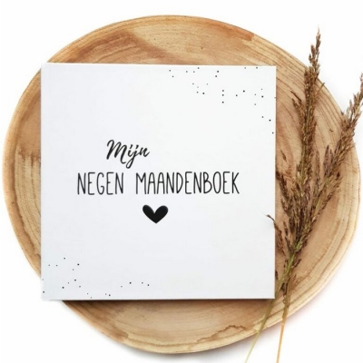 Negenmaanden boek Negenmaanden boek